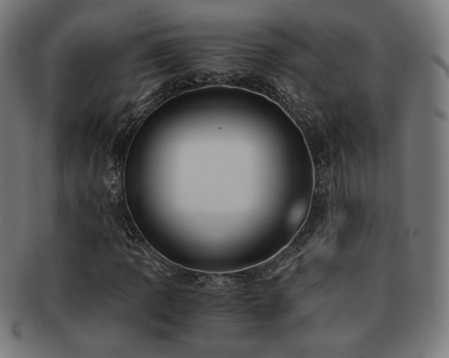 X0000091881109200709051318