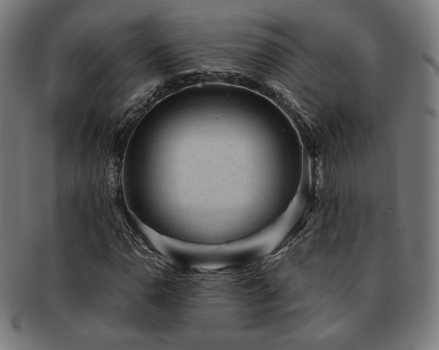 X0000091881110200709051318