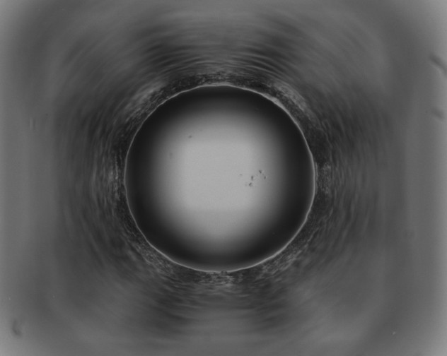 X0000091881111200709051318
