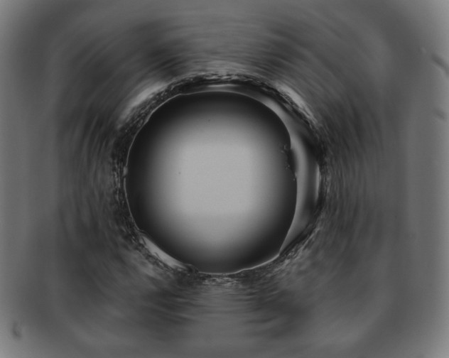 X0000091881112200709051318