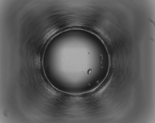 X0000091881113200709051318