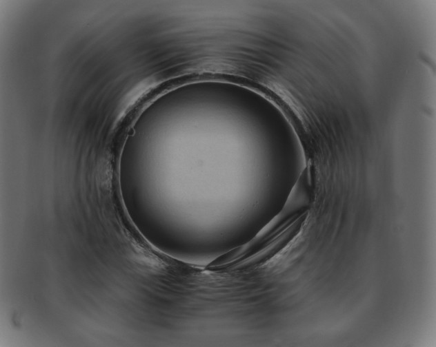 X0000091881115200709051318