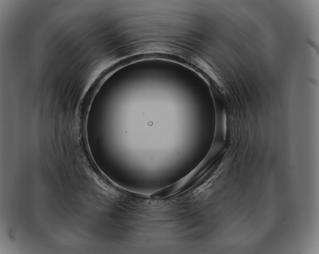 X0000091881116200709051318