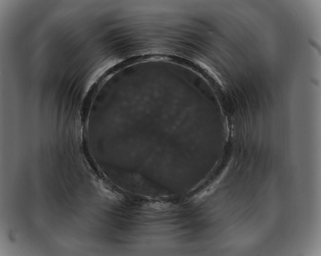 X0000091881117200709051318