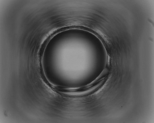 X0000091881118200709051318