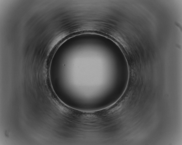 X0000091881119200709051318