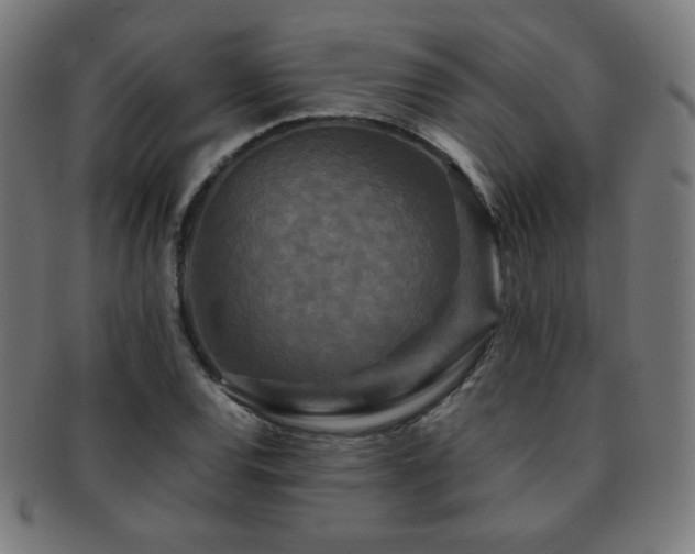 X0000091881120200709051318