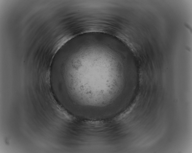 X0000091881121200709051318