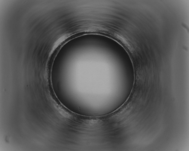 X0000091881122200709051318
