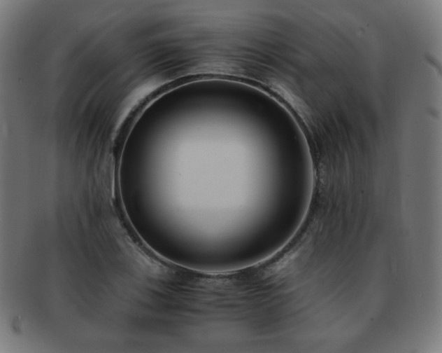 X0000091881123200709051318