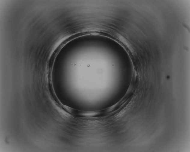 X0000091881124200709051318