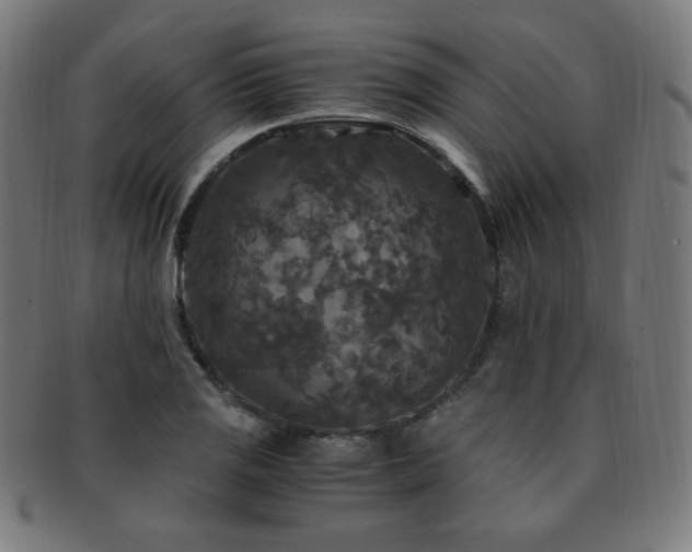 X0000091881125200709051318