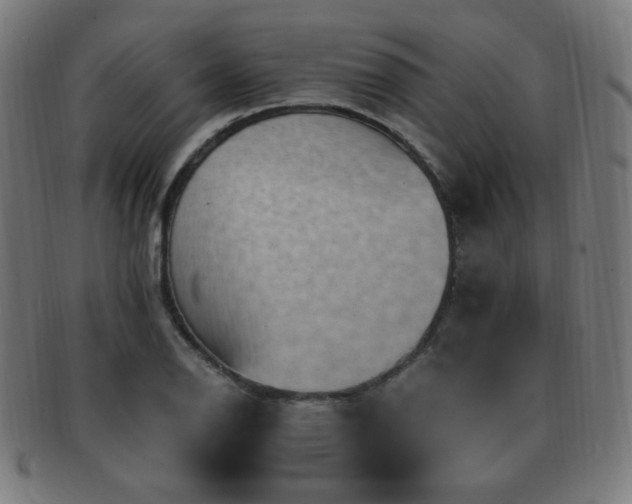 X0000091881126200709051318