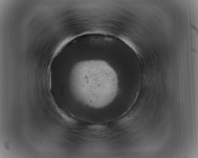 X0000091881127200709051318
