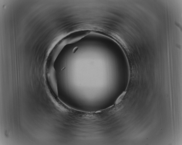 X0000091881128200709051318