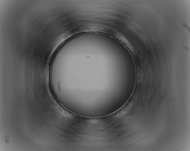 X0000091881130200709051318