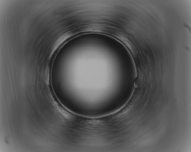 X0000091881131200709051318
