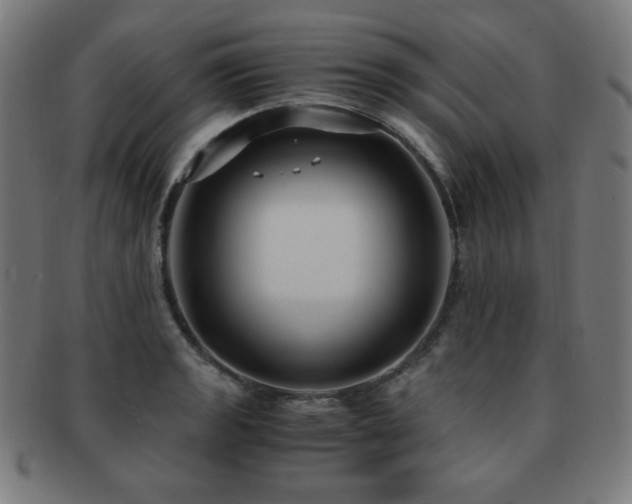 X0000091881133200709051318