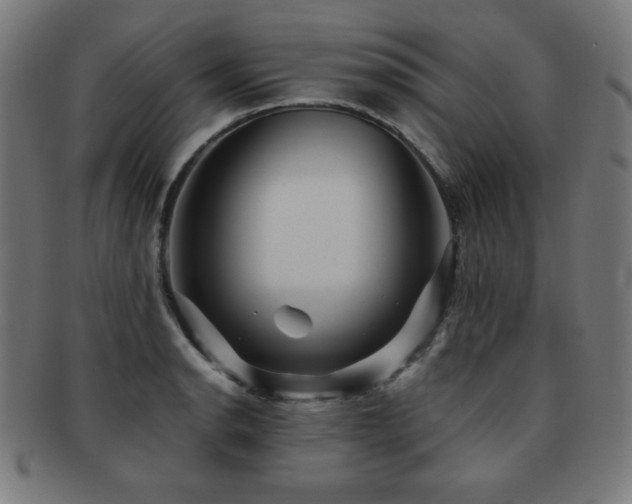 X0000091881134200709051318