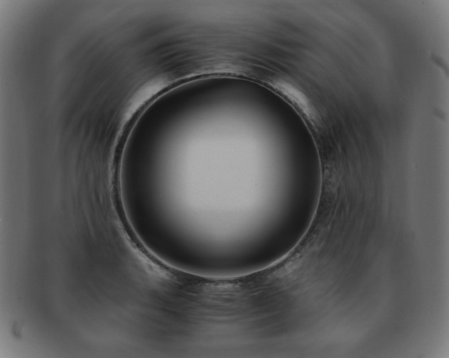 X0000091881135200709051318