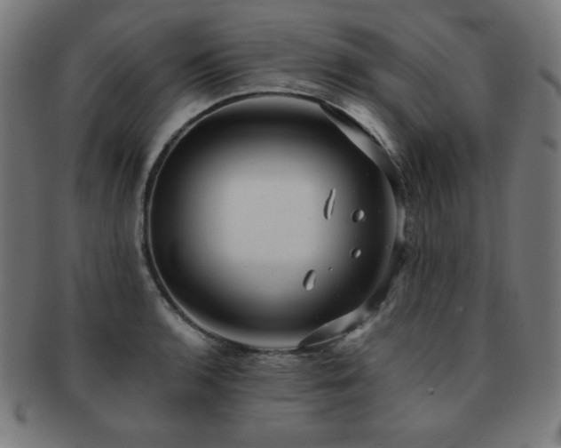 X0000091881136200709051318