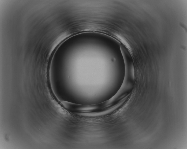 X0000091881138200709051319