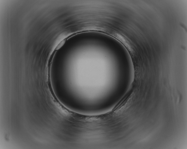 X0000091881140200709051319