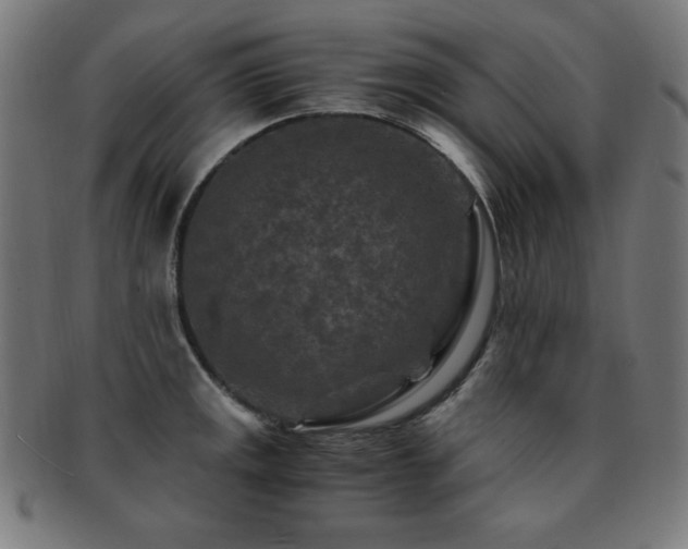 X0000091881141200709051319
