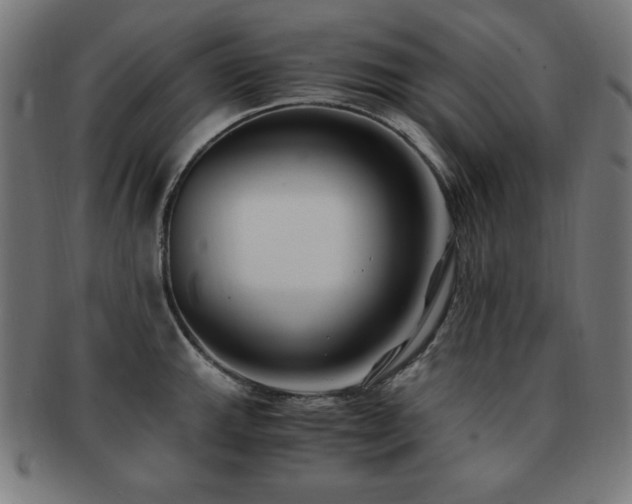 X0000091881143200709051319