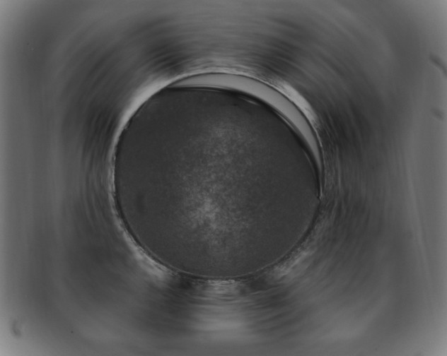 X0000091881144200709051319