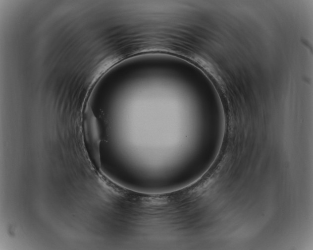 X0000091881145200709051319