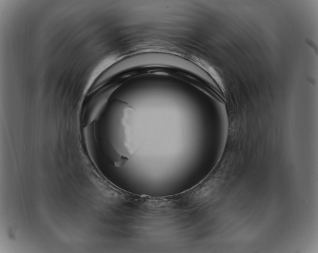 X0000091881146200709051319