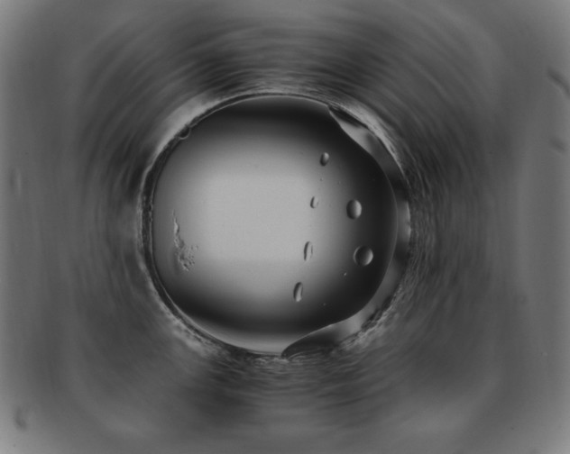 X0000091881147200709051319
