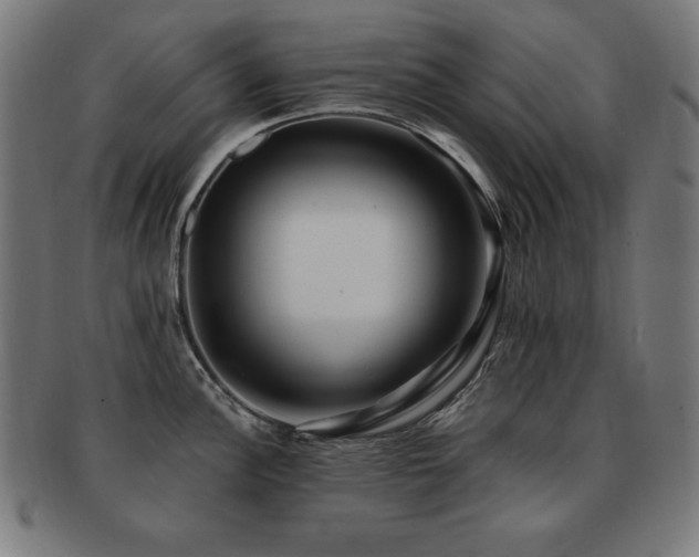 X0000091881148200709051319