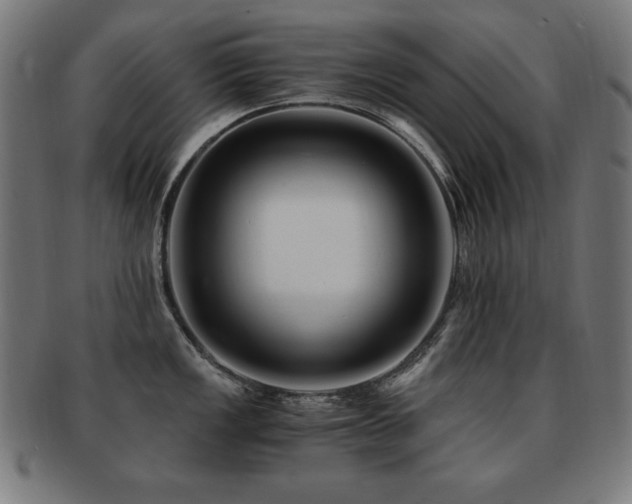X0000091881149200709051319