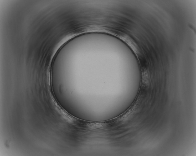 X0000091881150200709051319