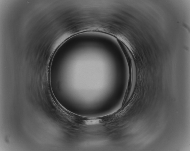 X0000091881151200709051319