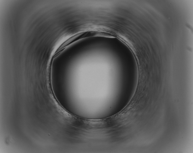 X0000091881152200709051319