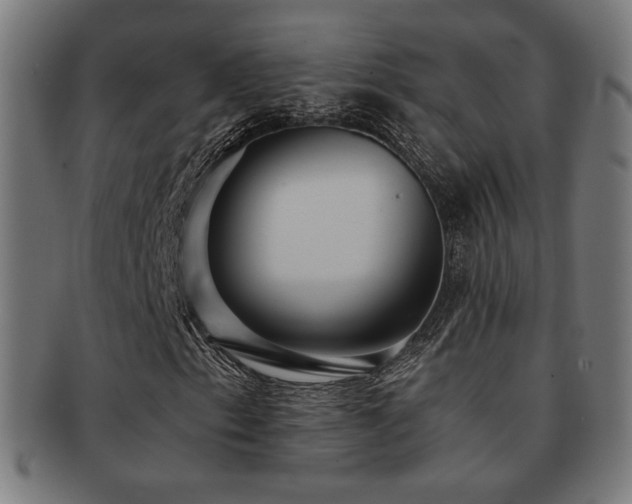 X0000091881153200709051318