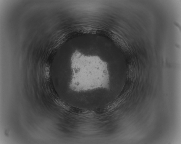 X0000091881154200709051318