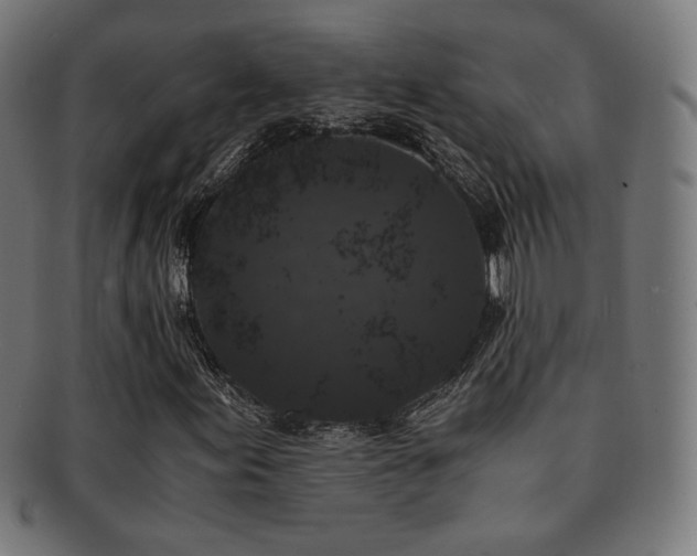 X0000091881155200709051318
