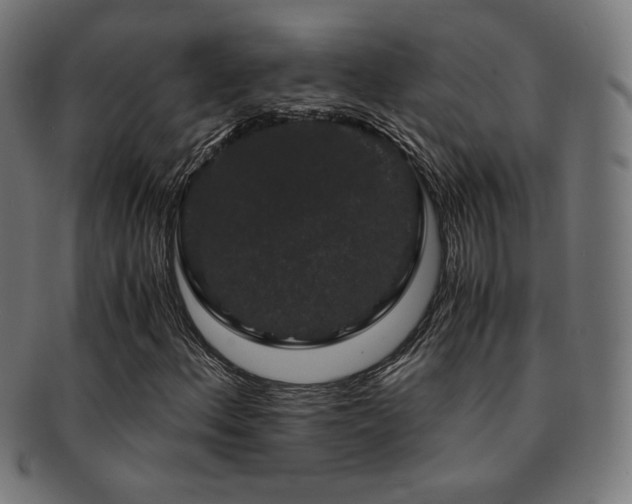 X0000091881156200709051318