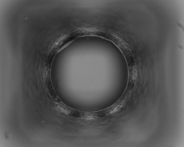 X0000091881157200709051318