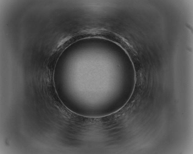 X0000091881158200709051318