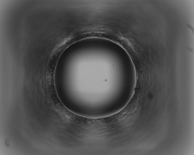 X0000091881159200709051318