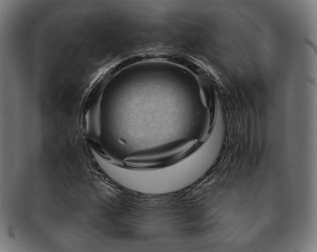 X0000091881160200709051318