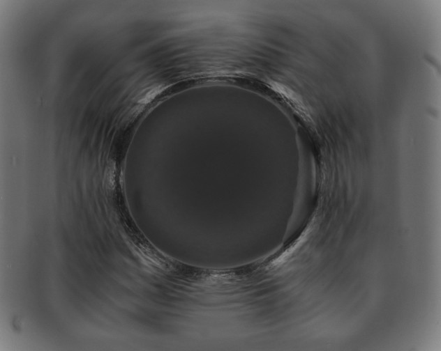 X0000091881161200709051318