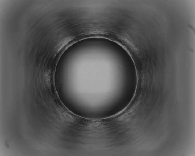 X0000091881162200709051318
