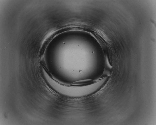 X0000091881164200709051318