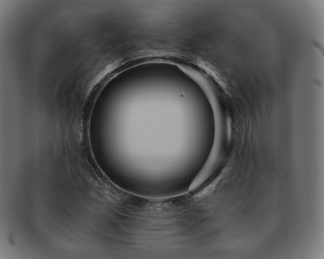 X0000091881165200709051318